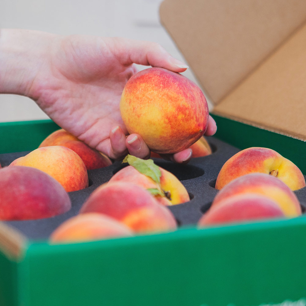 TreeRipe Fruit Hits the Road to Bring Peaches to Families