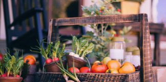 Vegetable Garden
