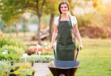 How Can You Turn Your Backyard into a More Enjoyable Space? Gardening