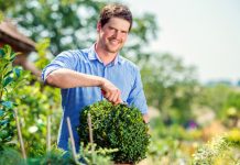 How Often Should Your Lawn and Garden Be Maintained?