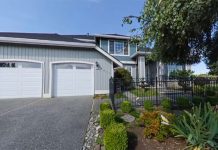 A Homeowner’s Guide to Maintaining Healthy Trees